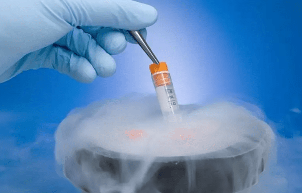 青岛有哪些有名的试管婴儿医院？技术水平如何？