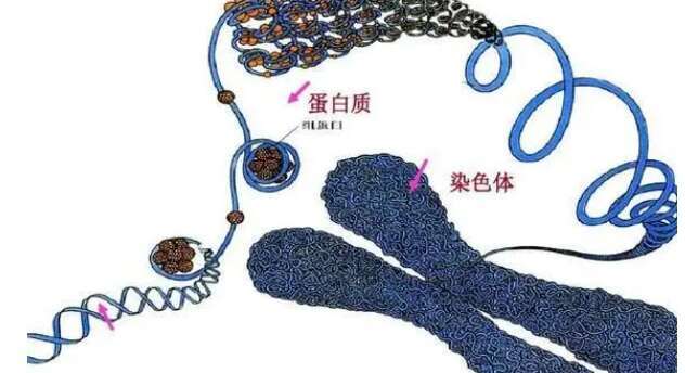 西安三代试管医院哪家好？成功率排名较高医院