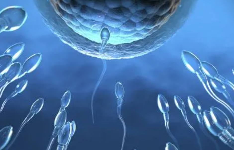 在济南做一次试管婴儿需要多少钱？技术水平如何？