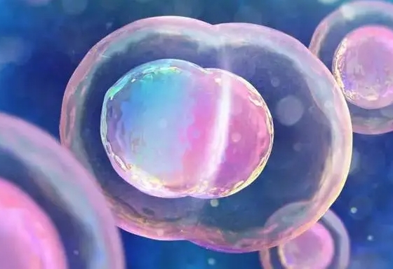 长沙有哪些有名的试管婴儿医院？技术水平如何？