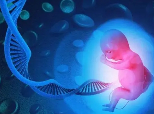 泰国hiv试管婴儿费用多少？泰国试管费用明细解析