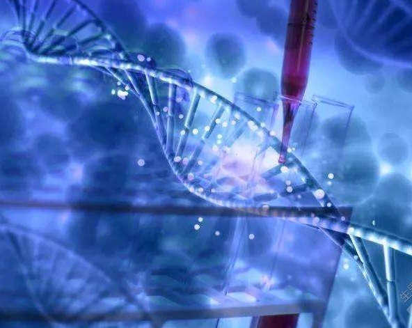 兰州正规试管婴儿助孕机构有哪些？如何保证试管成功率？
