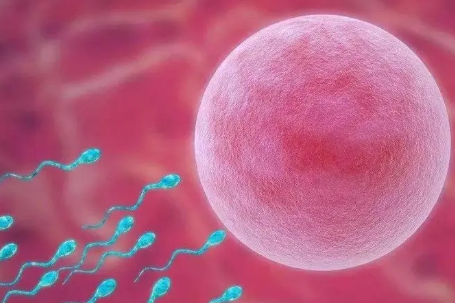 导致女性黄体功能失调的原因是什么？该如何治疗？