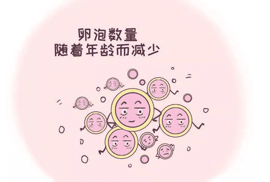深圳哪些医院试管婴儿的成功率比较高？影响成功率的因素有哪些？