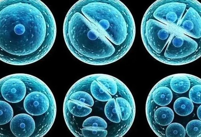 泰国三代试管婴儿成功率高吗？专业保障信心倍增