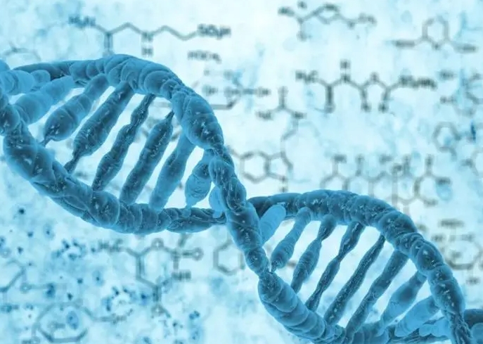 泰国试管婴儿优势：全球生殖医疗的璀璨明珠