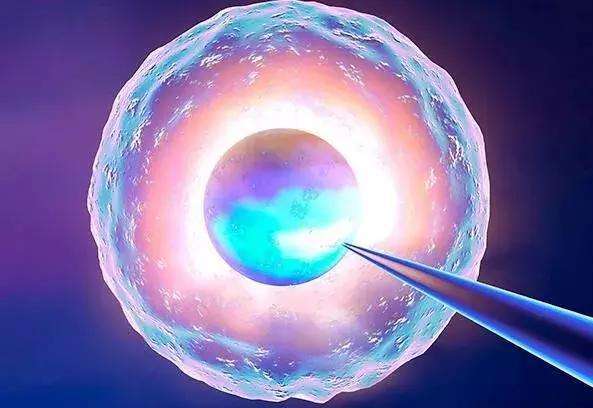 湛江三代试管婴儿医院有哪些？试管多少钱？
