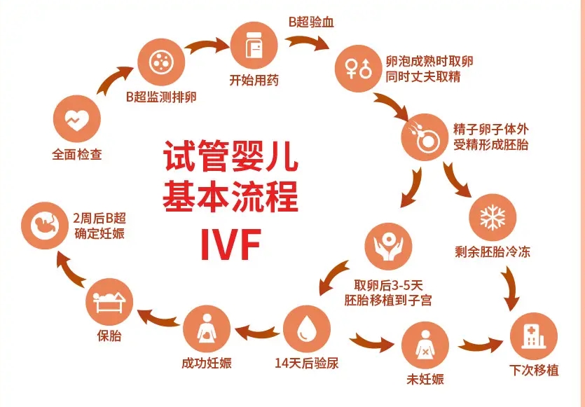 2025年泰国NIC试管婴儿费用揭秘与服务质量全面解析