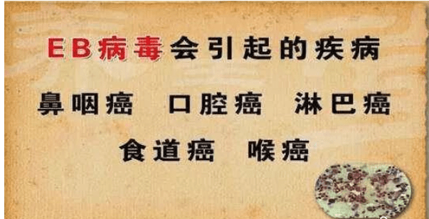 试管婴儿中介前期服务包括那些？