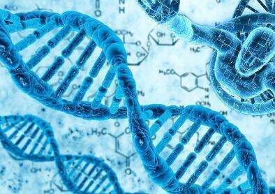 试管婴儿专家提醒以下几类人群怀孕要谨慎