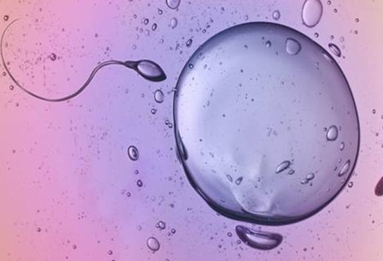 【试管婴儿】想要怀孕，别对子宫做这些事