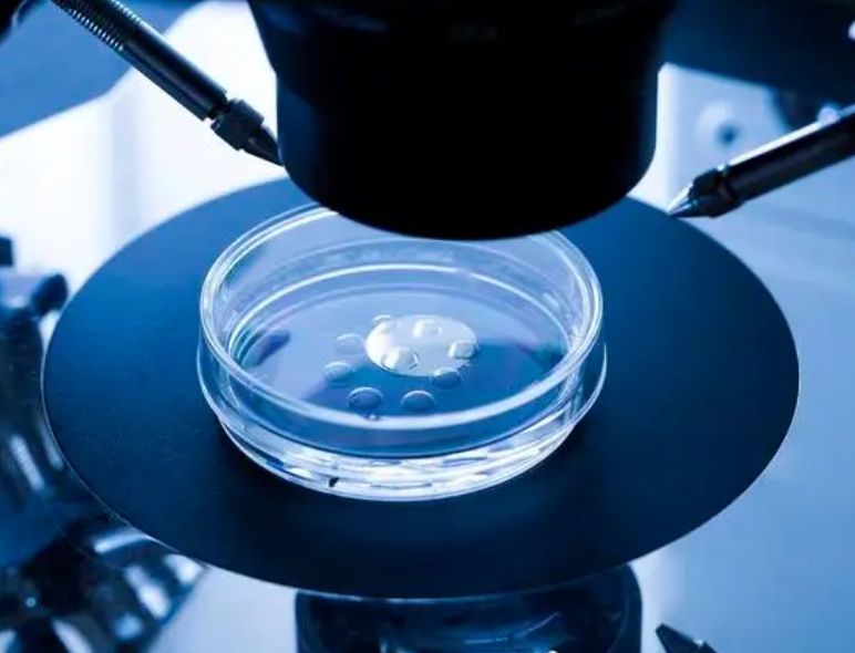 2025年绍兴哪些医院能做试管婴儿？附试管婴儿医院详情介绍