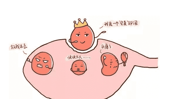 泰国三代试管婴儿医院哪家好？2025医院排名
