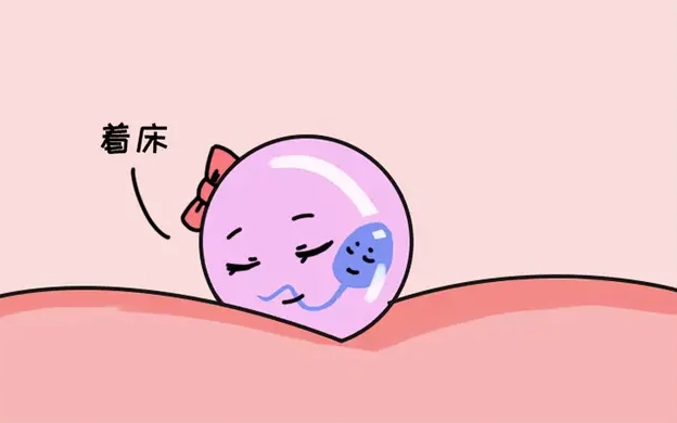 试管婴儿移植成功后有哪些症状