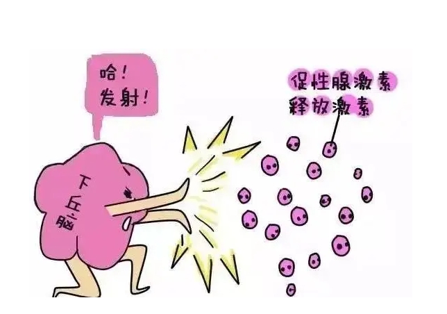 辽阳市艾滋病做试管哪家医院好，费用多少钱？