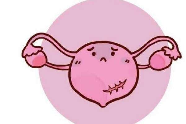 做试管婴儿前要吃些什么