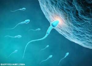 在试管婴儿移植前，哪些患者需要进行宫腔镜检查？