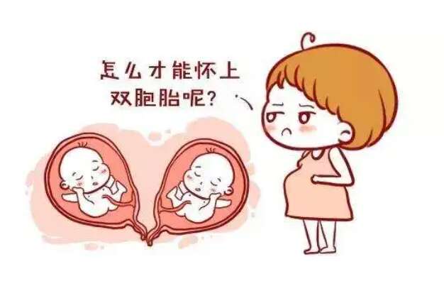 染色体异常是试管婴儿胚胎发育的，？
