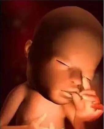 在海口做第三代试管婴儿的成功率是多少？需要满足哪些条件？
