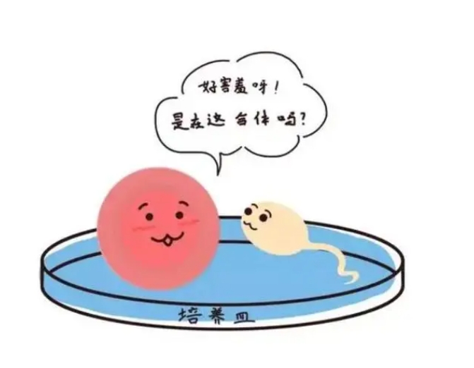 广州三代试管好的私立医院收费项目有哪些
