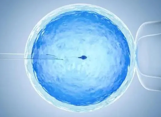 怎样提高精子质量？有哪些方法？