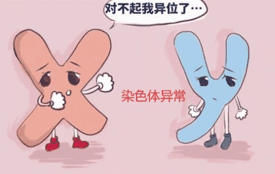 宜春市单身不用结婚证做试管的医院，费用多少钱？