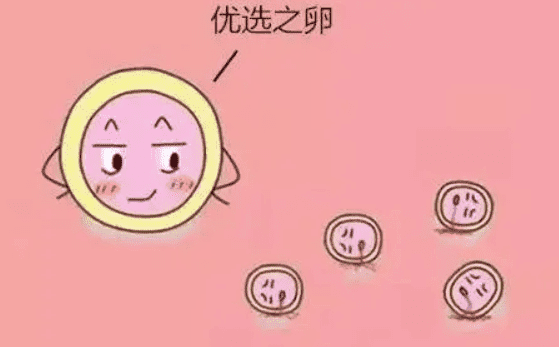 湘潭市艾滋病做试管哪家医院好，费用多少钱？