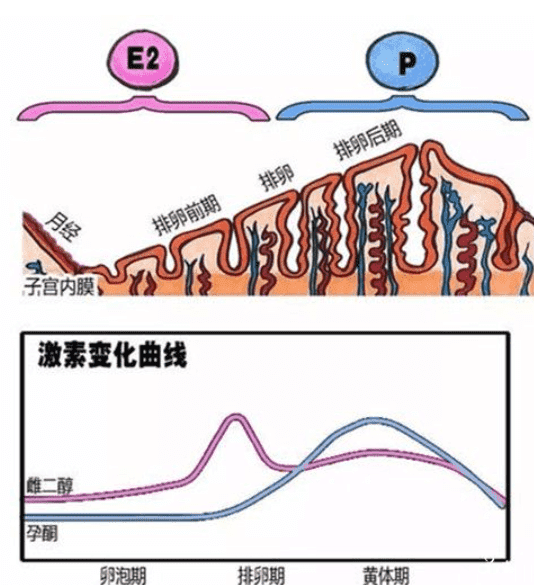 试管婴儿不成功，你找到这些易失败的原因了吗？