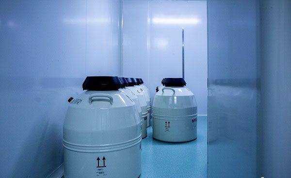 郑州试管婴儿医院有哪些？郑州试管婴儿医院哪家专业？