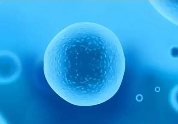 怎么去泰国试管婴儿，泰国试管婴儿流程简析