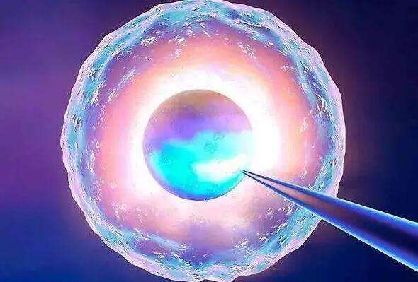 做三代试管婴儿生一对双胞胎一共要多少费用？