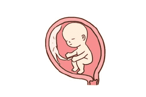 伊春市试管婴儿医院排名比较好，伊春市试管婴儿成功率医院排名