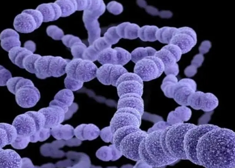 泰国试管婴儿遇到子宫内膜薄该怎么办？