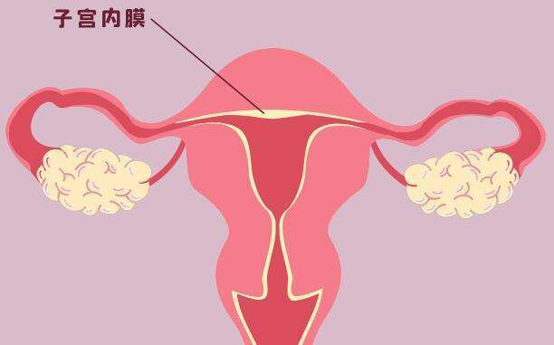 齐齐哈尔讷河市哪里可以做试管婴儿？