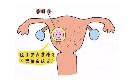人工授精对精子有什么要求，满足这3点最低要求
