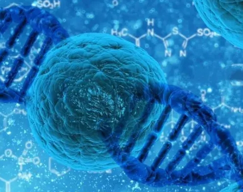 多囊如何调理身体才能高效备孕？多囊综合征备孕指南