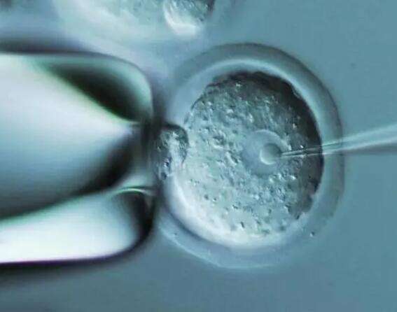 深入分析杭州三代试管婴儿成功率的影响因素与实际案例