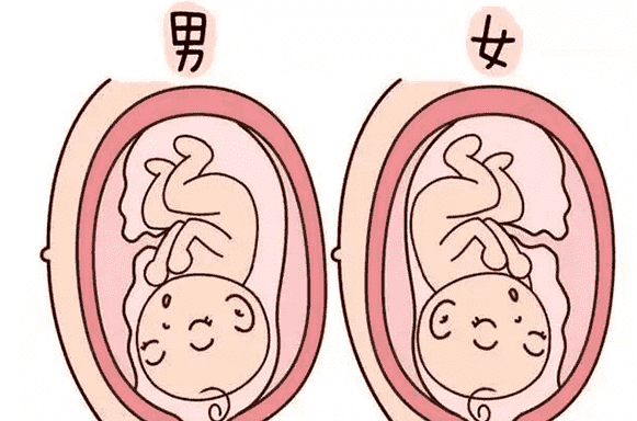 去泰国做试管婴儿的流程，泰国试管婴儿流程详解