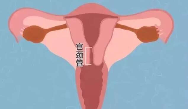 泰国试管婴总共多少钱？钱都花在了哪些地方