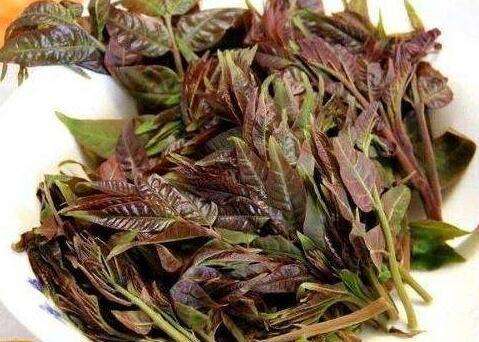 做试管婴儿必须知道的事宜有哪些