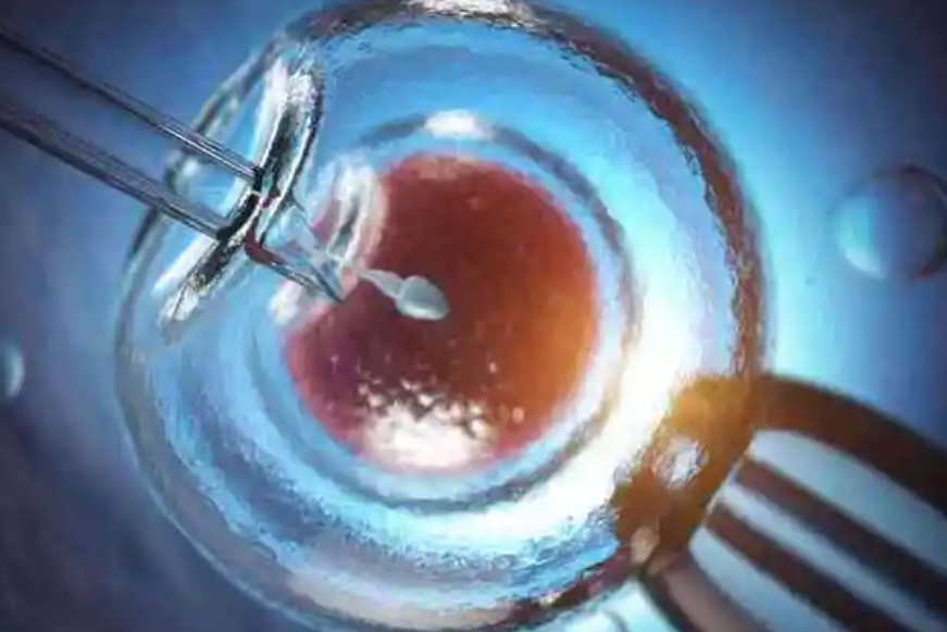 2025泰国第三代试管婴儿攻略，助您实现生育梦想