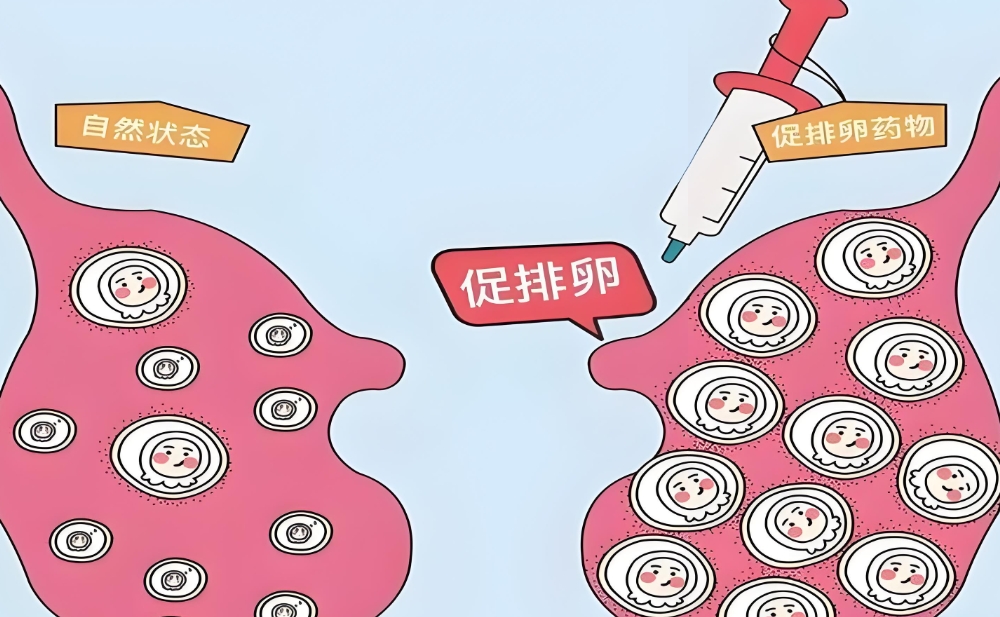 泰国hiv试管婴儿医院推荐，威它尼医院口碑好
