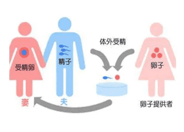 2025专业海外试管婴儿服务机构，附泰国三代试管医院排名