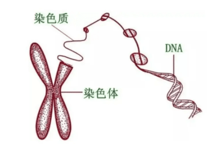 济南能做三代试管助孕生子机构有名的是哪些？