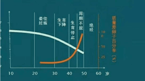 泰国试管婴儿总费用多少钱？泰国试管花费明细是怎样的？