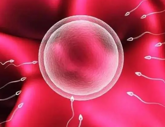 哈萨克斯坦三代试管促排饮食秘籍，科学食谱助力好孕，忌口知识不可不知
