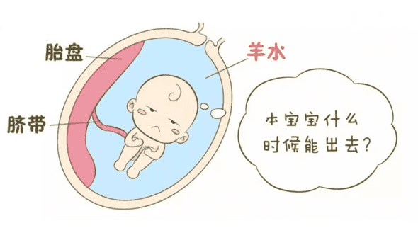 甘肃哪个医院做三代试管成功率高