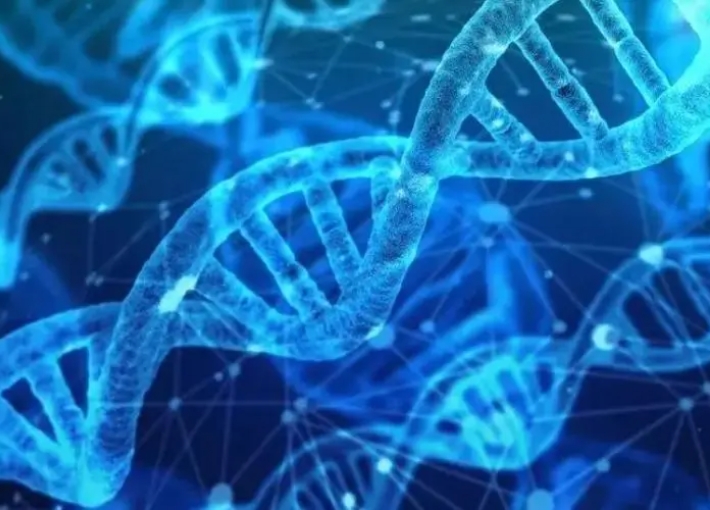 泰国杰特宁医院做三代试管的费用是多少？泰国杰特宁医院的优势有哪些
