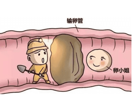 2025年泰国试管婴儿全攻略超详细收藏备用