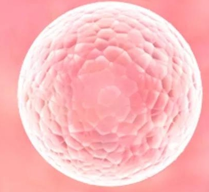 试管婴儿治疗中如何精益求，，生出健康宝宝？